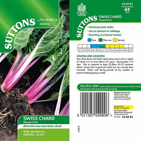 Swiss Chard Seeds - Peppermint