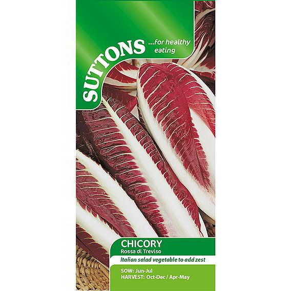 Chicory 'Rossa di Treviso precoce' - Seeds