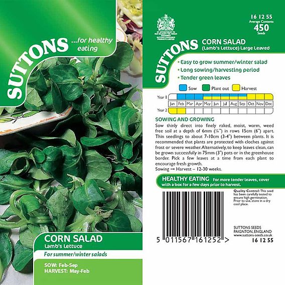 Corn Salad 'Lambs Lettuce' - Seeds