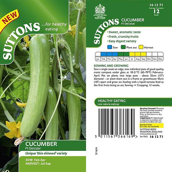Cucumber F1 'Delistar' - Seeds