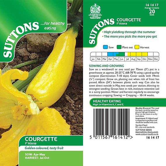 Courgette Seeds - F1 Atena