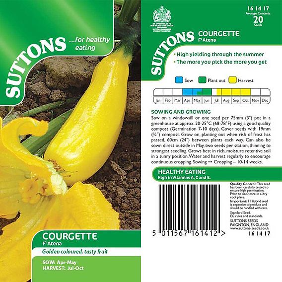 Courgette F1 'Atena' - Seeds
