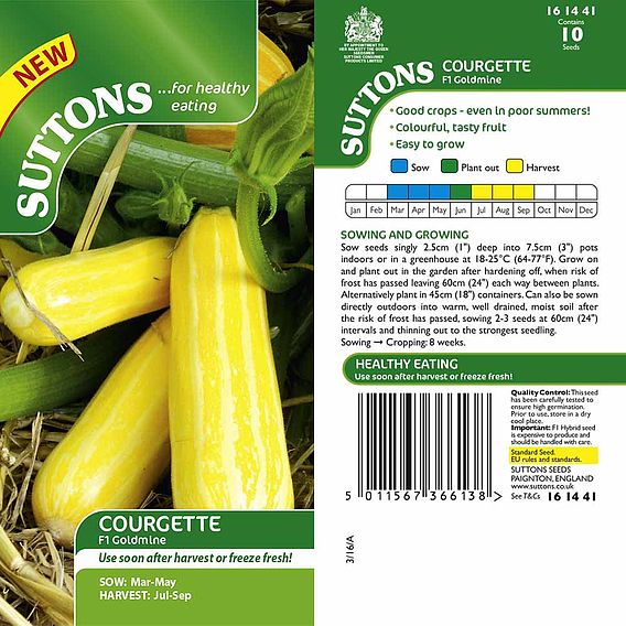 Courgette F1 'Goldmine' - Seeds
