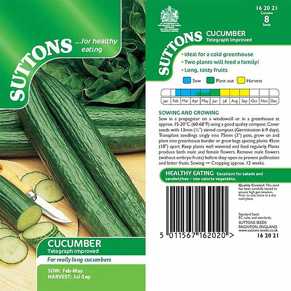 Cucumber 'Telegraph Improved' - Seeds