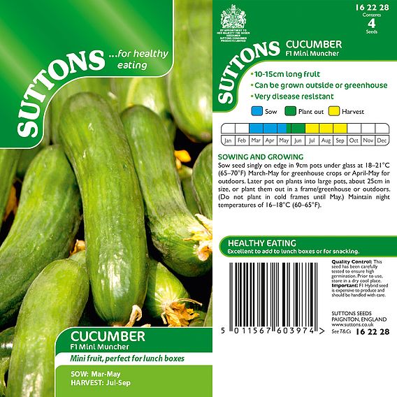 Cucumber 'Mini Muncher' F1 - Seeds