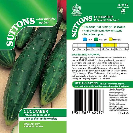 Cucumber Seeds - F1 Burpless Tasty Green