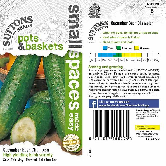 Cucumber 'Bush Champion' - Seeds