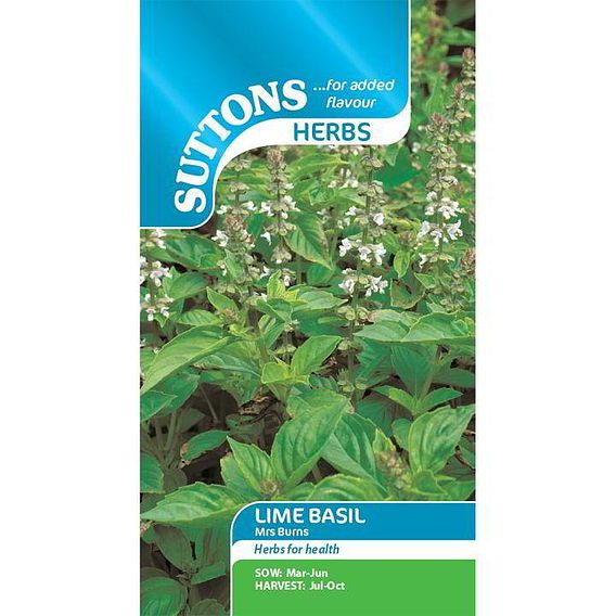 Basil 'Lime Mrs Burns' - Herb Seeds