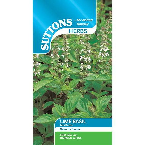 Herb Seeds - Basil Lime Mrs Burns