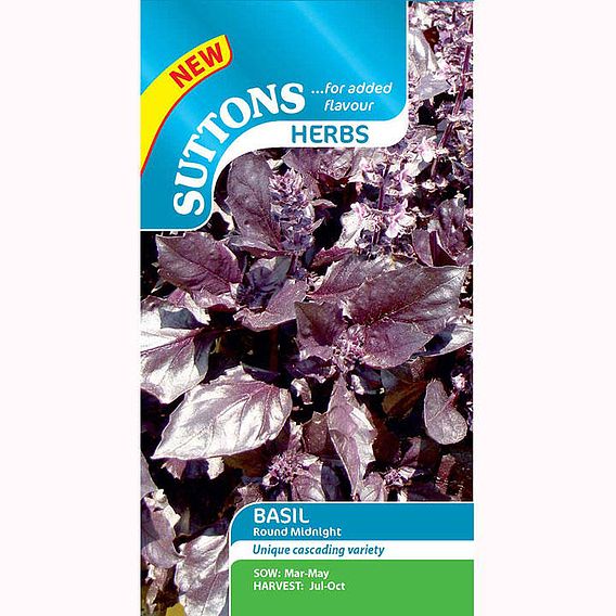 Seeds for Pollinators - Basil Round Midnight