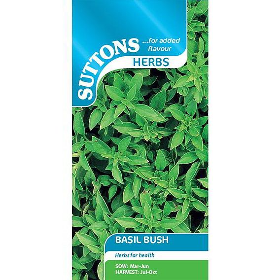 Basil Bush - Herb Seeds