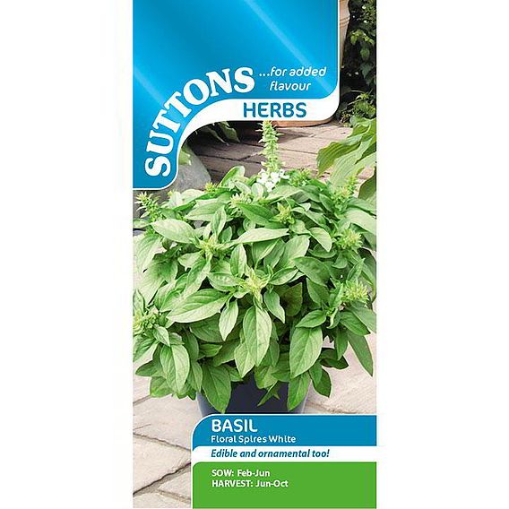 Herb Seeds - Basil Floral Spires White