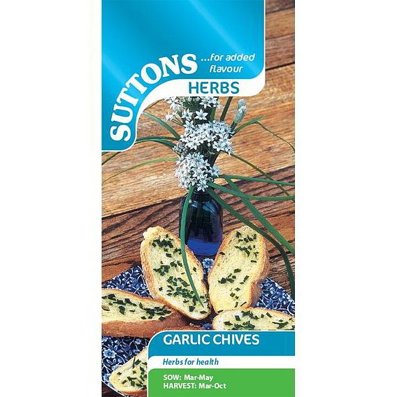 Garlic Chives - Herb Seeds