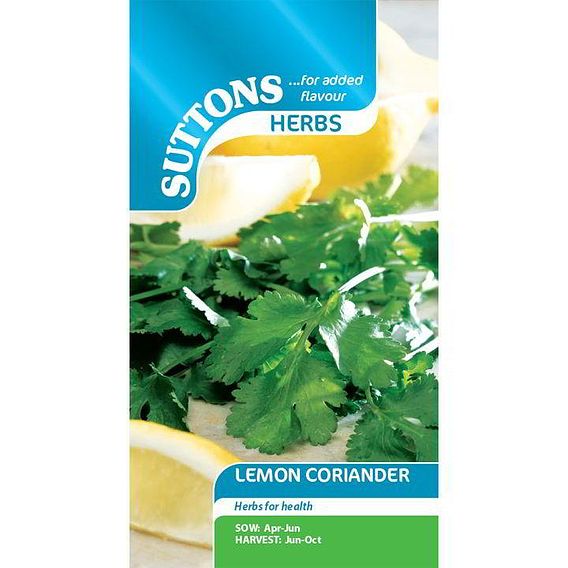 Herb Seed - Lemon Coriander