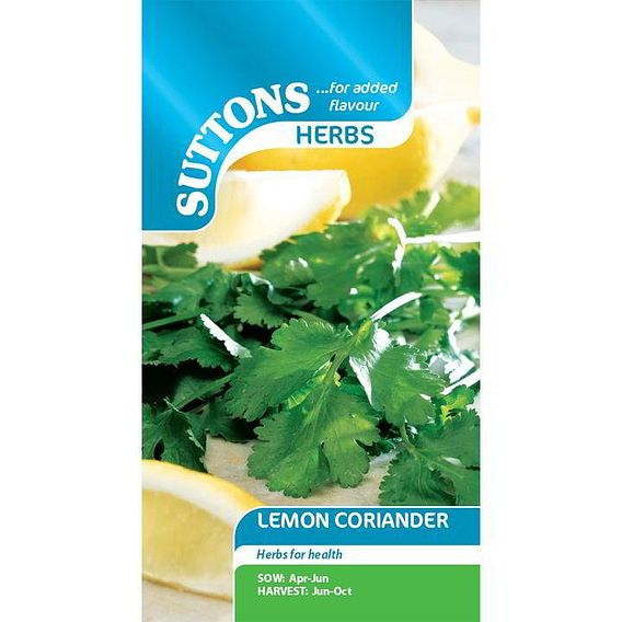 Lemon Coriander - Herb Seeds