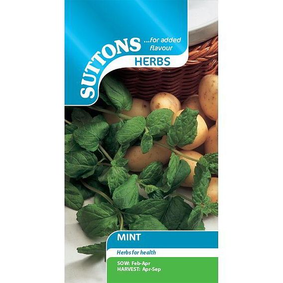 Mint - Herb Seeds