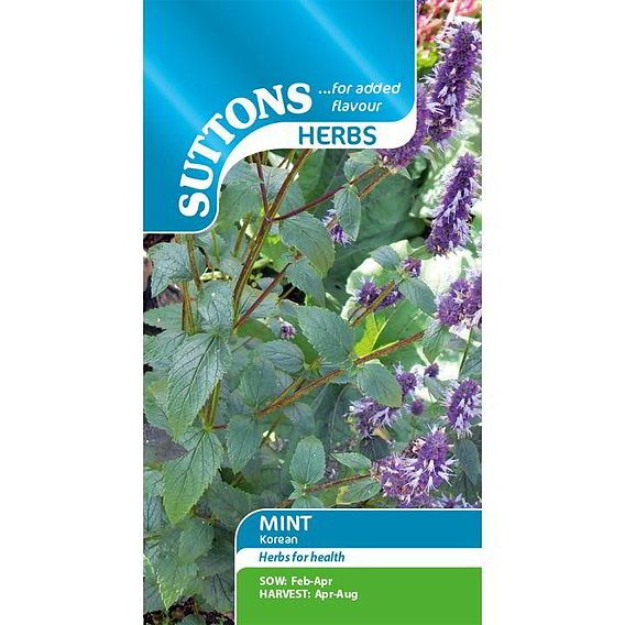 Korean Mint (Agastache rugosa) - Herb Seeds