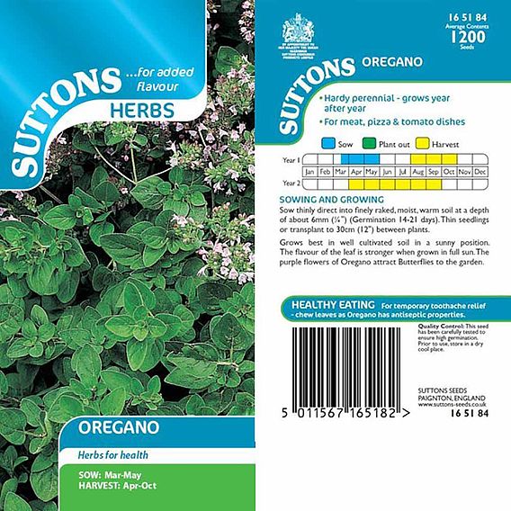Oregano - Herb Seeds