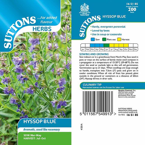 Hyssop 'Blue' - Herb Seeds