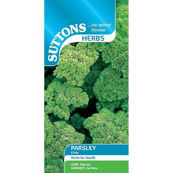Parsley 'Envy' - Herb Seeds