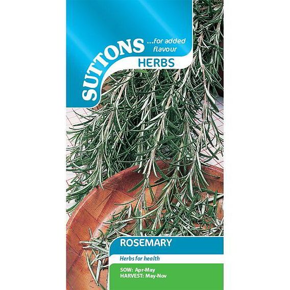Rosemary - Herb Seeds