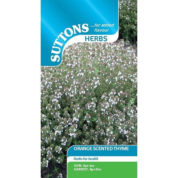 Thyme 'Orange-Scented' - Herb Seeds