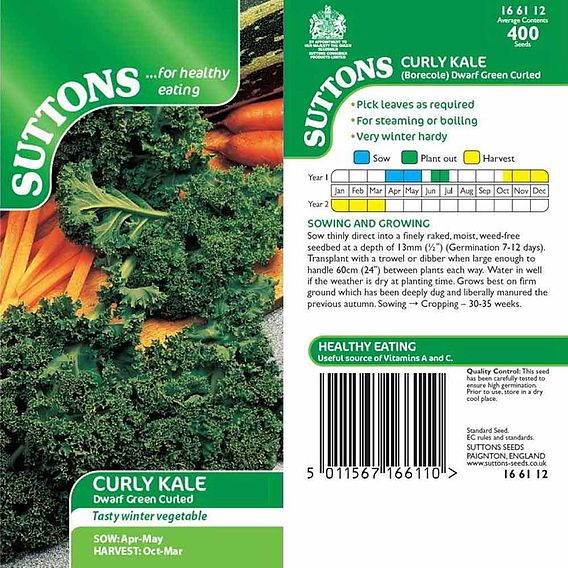 Kale 'Dwarf Green Curled' - Seeds