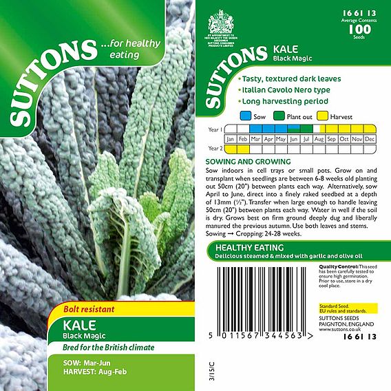 Kale 'Black Magic' - Seeds