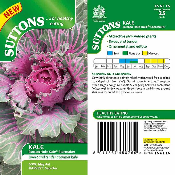 Kale Seeds - Buttonhole Starmaker