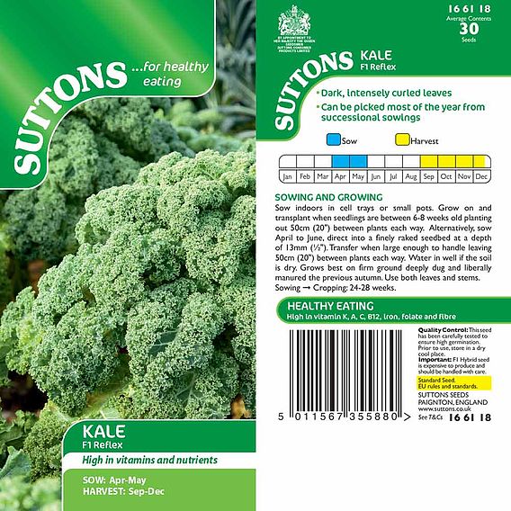 Kale F1 'Reflex' - Seeds
