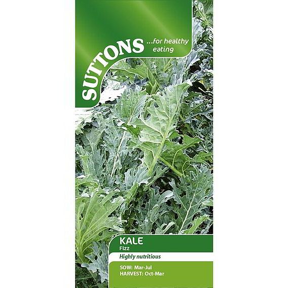 Kale 'Fizz' - Seeds