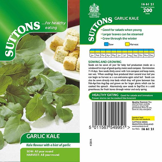 Garlic Kale - Seeds
