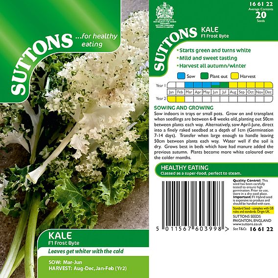 Kale 'Frost Byte' F1 - Seeds