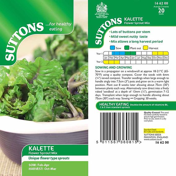 Brussels Sprout 'Kalette Flower Sprout Mix' - Seeds