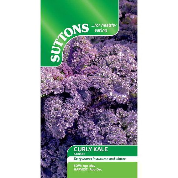 Kale 'Scarlet' - Seeds