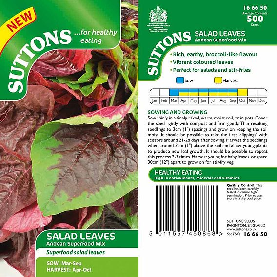 Salad Leaves 'Andean Superfood Mix' - Seeds