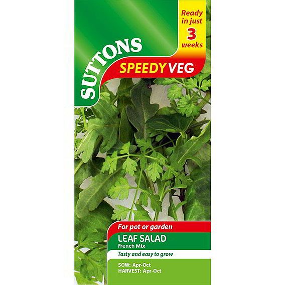 Leaf Salad Seeds - French Mix