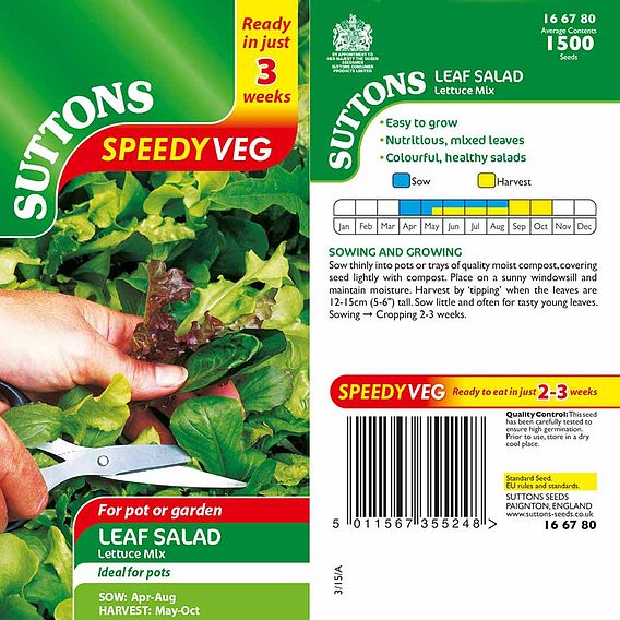 Lettuce 'Mixed Varieties' - Seeds
