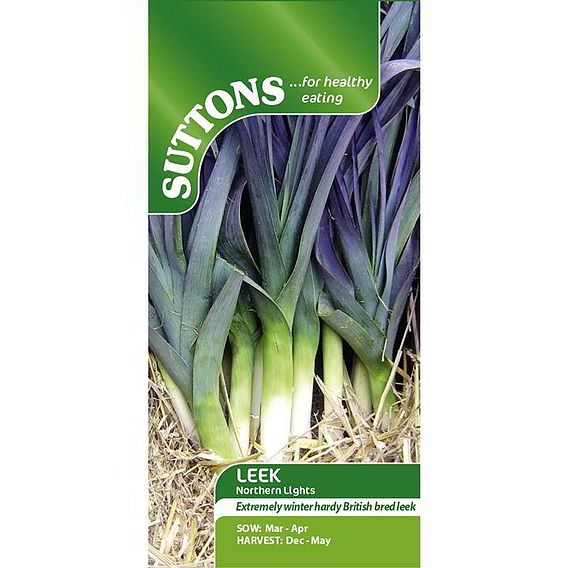 Leek 'Northern Lights' F1 - Seeds