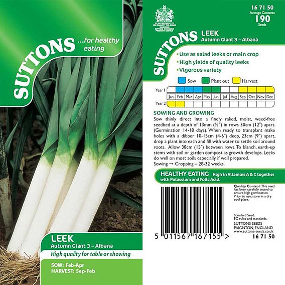 Leek 'Autumn Giant 3 Albana' - Seeds