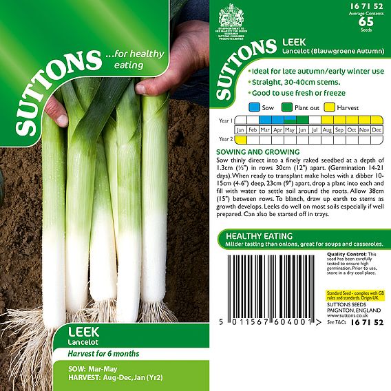 Leek 'Lancelot ' - Seeds