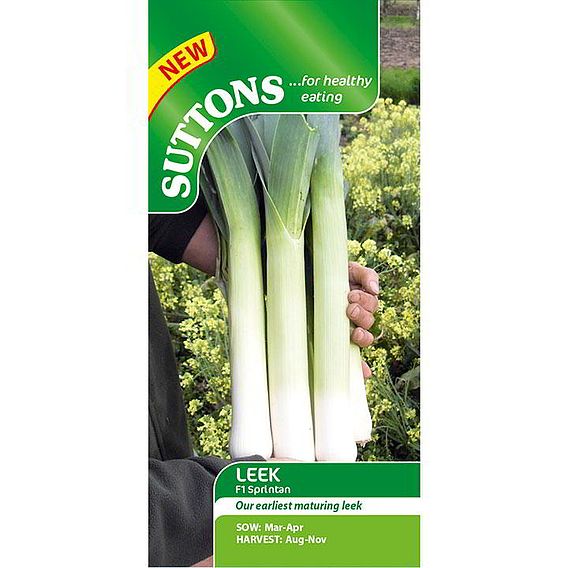 Leek F1 'Sprintan' - Seeds
