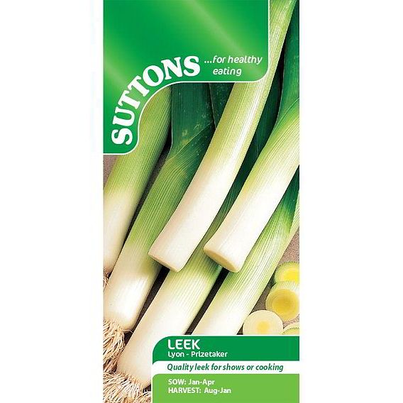 Leek 'Lyon Prizetaker' - Seeds