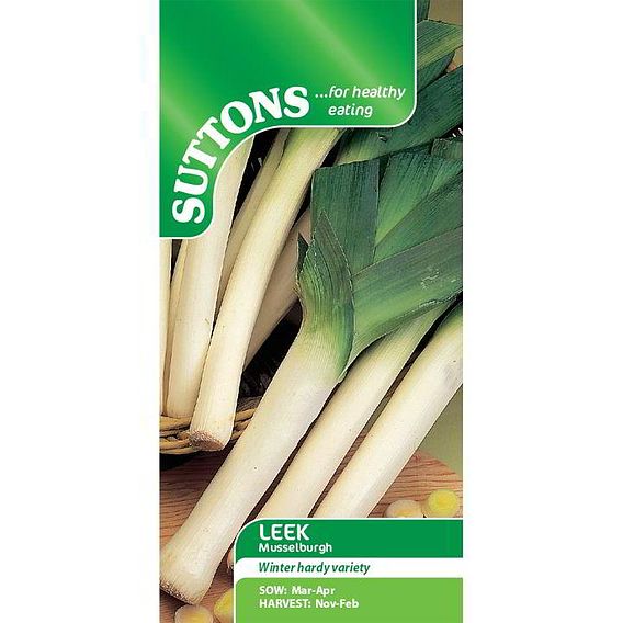 Leek 'Musselburgh' - Seeds