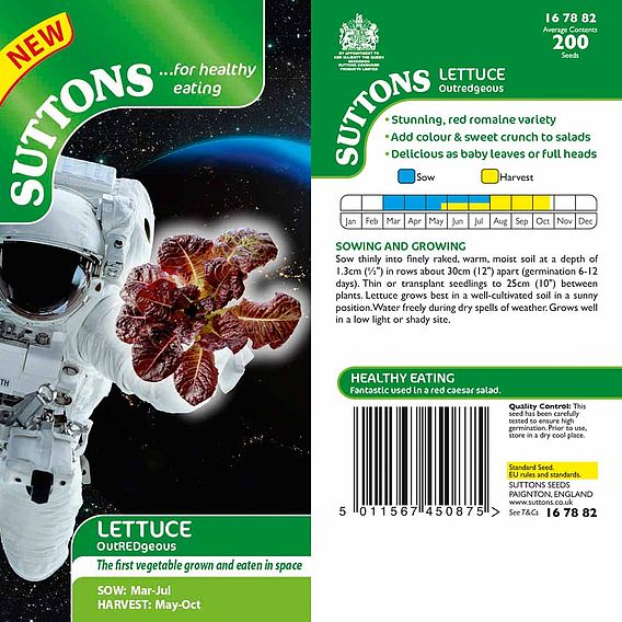 Lettuce 'OutREDgeous' - Seeds