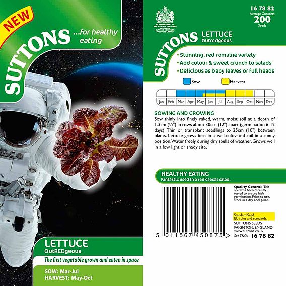 Lettuce Seeds - OutREDgeous