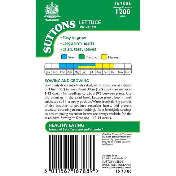 Lettuce 'Unrivalled' - Seeds