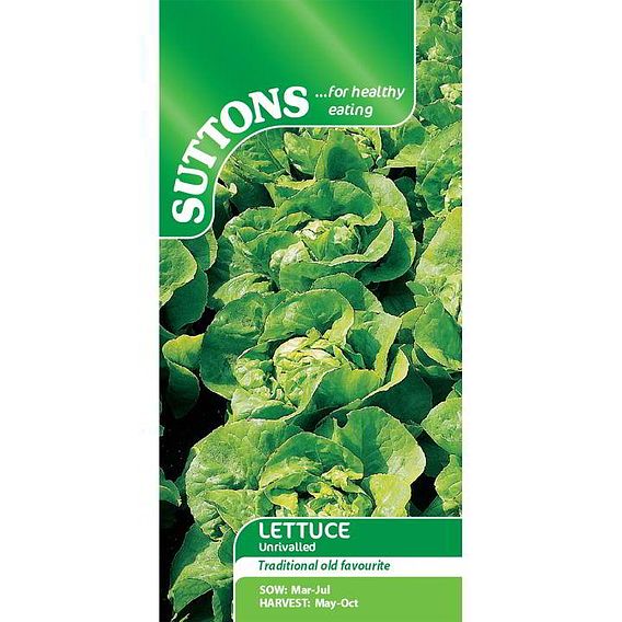 Lettuce 'Unrivalled' - Seeds