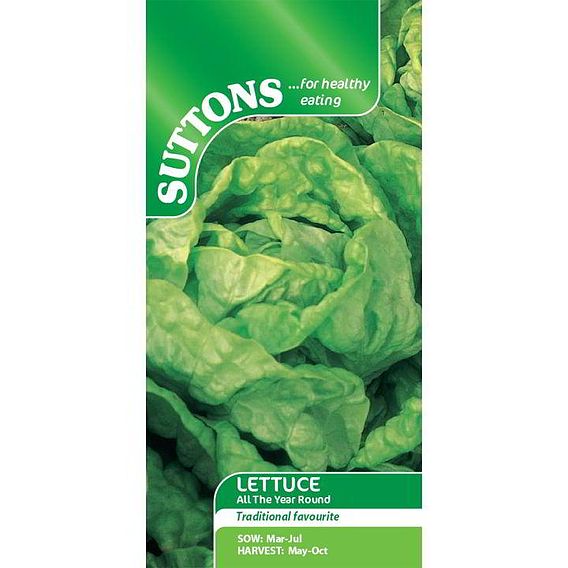 Lettuce 'All The Year Round' - Seeds