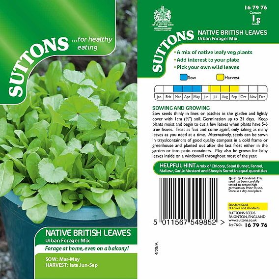 Native British Leaves 'Urban Forager Mix' - Seeds